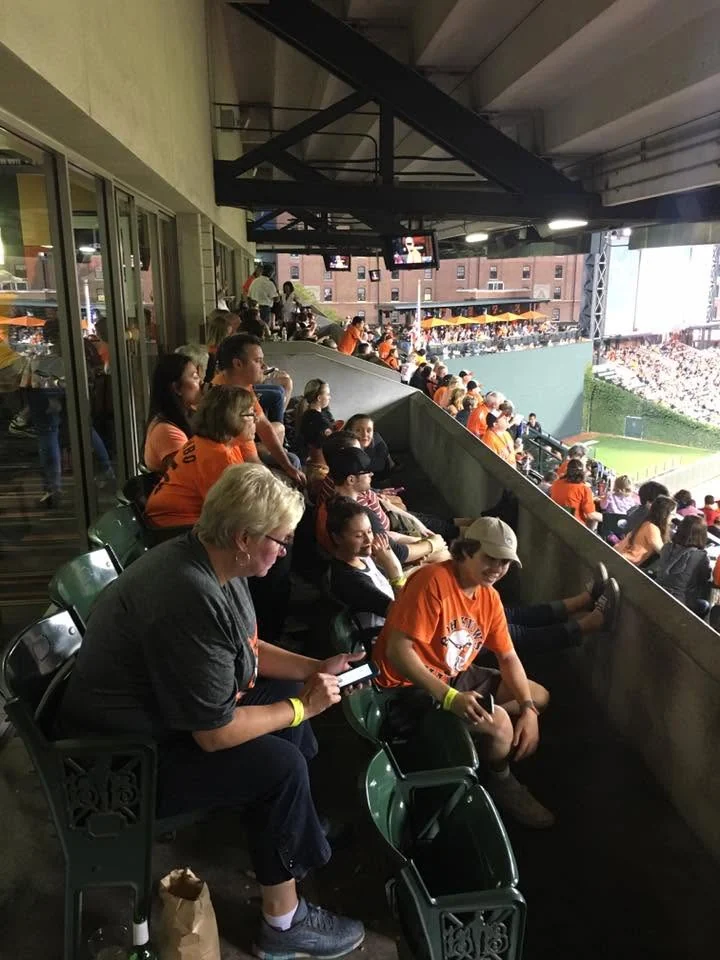 Cabinet Max outing with guests seated together at a baseball game
